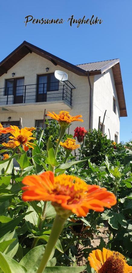 Pensiunea Agroturistica Angheliki Tulcea Exterior photo